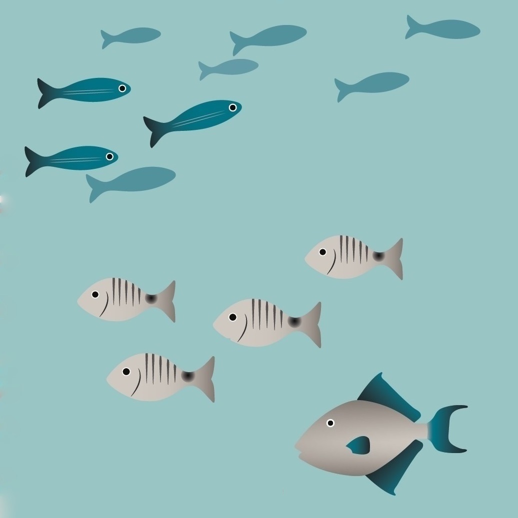 Ciencia cidad&aacute;